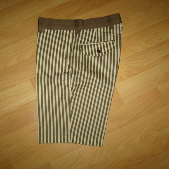 🩳 Mister Mr. Trina Turk Vertical Stripe Men's Shorts 28 - Picture 6 of 6